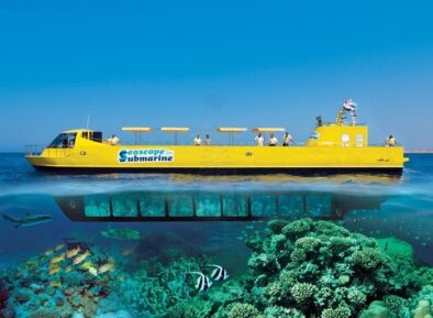 Seascope
