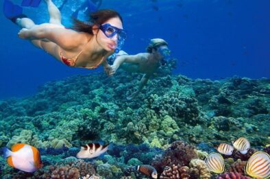 Wycieczka Wyspa Hamata z Marsa Alam