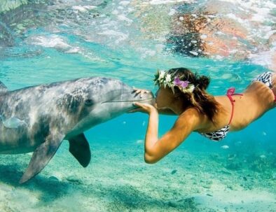 Wycieczka do domu delfinow Samadai z Marsa Alam