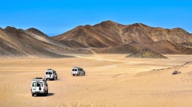 Family Safari